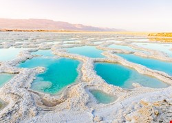 β-Thalassemia_地中海型貧血衛教影片