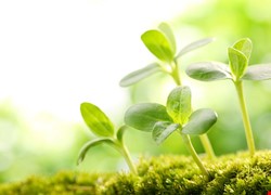 生殖醫學中心新整合影片