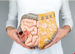 大腸直腸癌治療照護團隊
